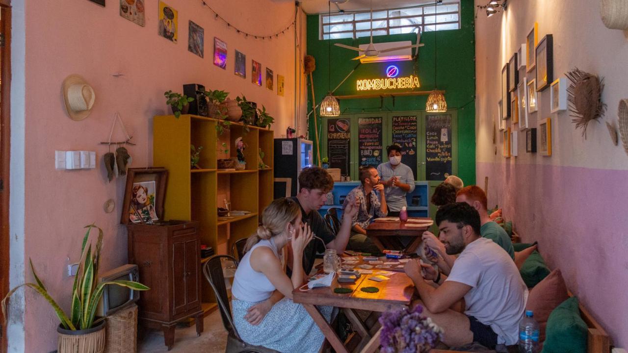 Alojamento de Acomodação e Pequeno-almoço Kuka Y Naranjo Mérida