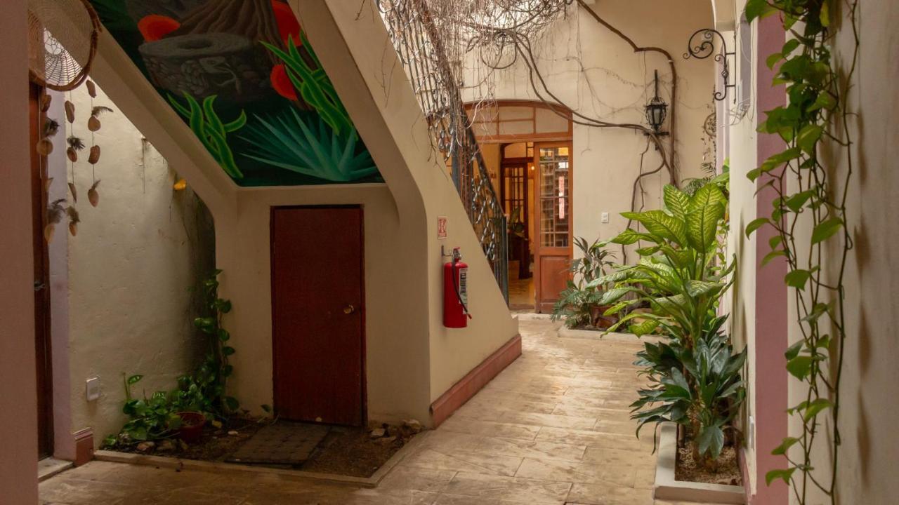 Alojamento de Acomodação e Pequeno-almoço Kuka Y Naranjo